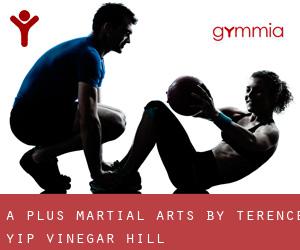 A-Plus Martial Arts by Terence Yip (Vinegar Hill)