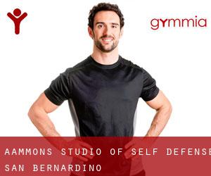 Aammons Studio of Self Defense (San Bernardino)
