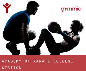 Academy Of Karate (College Station)