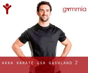 AKKA Karate USA (Gashland) #2