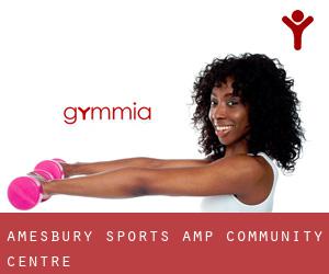Amesbury Sports & Community Centre