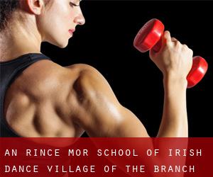 An Rince Mor School of Irish Dance (Village of the Branch)