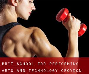 Brit School for Performing Arts and Technology (Croydon)