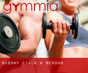 Budowy ciała w Beroun Budowy ciała w Beroun