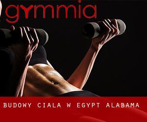 Budowy ciała w Egypt (Alabama)
