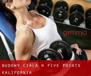 Budowy ciała w Five Points (Kalifornia)
