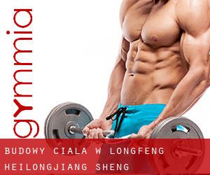 Budowy ciała w Longfeng (Heilongjiang Sheng)
