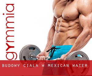 Budowy ciała w Mexican Water