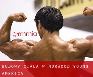 Budowy ciała w Norwood Young America