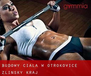 Budowy ciała w Otrokovice (Zlínský Kraj) Budowy ciała w Otrokovice (Zlínský Kraj)