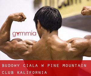 Budowy ciała w Pine Mountain Club (Kalifornia)