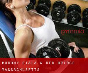 Budowy ciała w Red Bridge (Massachusetts)