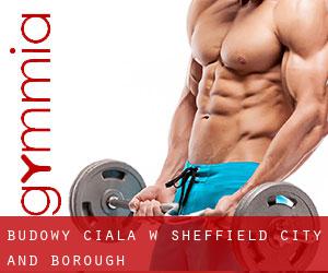 Budowy ciała w Sheffield (City and Borough)