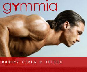 Budowy ciała w Trebíc Budowy ciała w Trebíc