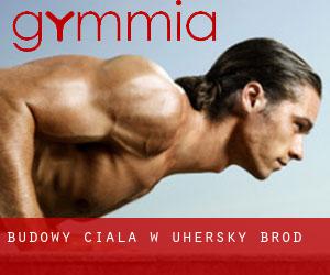 Budowy ciała w Uherský Brod Budowy ciała w Uherský Brod