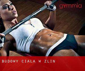 Budowy ciała w Zlín Budowy ciała w Zlín