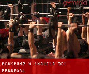 BodyPump w Anquela del Pedregal