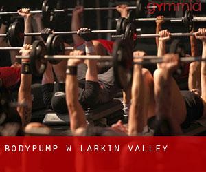 BodyPump w Larkin Valley