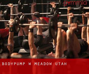 BodyPump w Meadow (Utah)