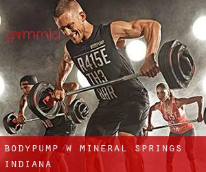 BodyPump w Mineral Springs (Indiana)