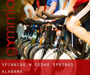 Spinning w Cedar Springs (Alabama)