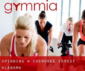 Spinning w Cherokee Forest (Alabama)