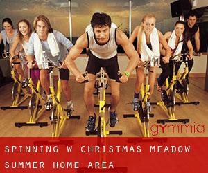 Spinning w Christmas Meadow Summer Home Area