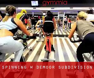 Spinning w DeMoor Subdivision
