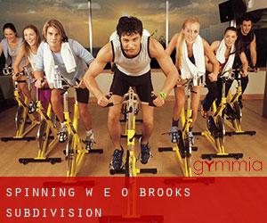 Spinning w E O Brooks Subdivision
