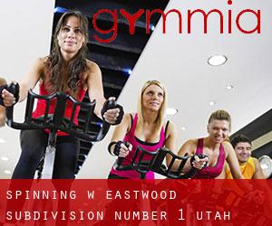 Spinning w Eastwood Subdivision Number 1 (Utah)