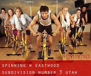Spinning w Eastwood Subdivision Number 3 (Utah)