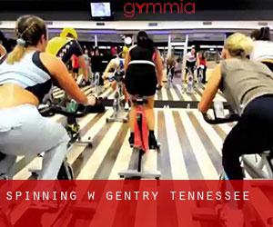 Spinning w Gentry (Tennessee)