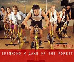 Spinning w Lake of the Forest