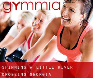 Spinning w Little River Crossing (Georgia)
