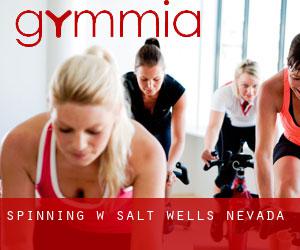 Spinning w Salt Wells (Nevada)