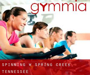Spinning w Spring Creek (Tennessee)