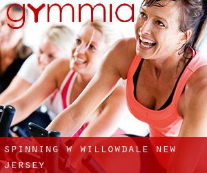 Spinning w Willowdale (New Jersey)