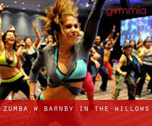 Zumba w Barnby in the Willows
