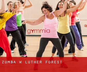 Zumba w Luther Forest