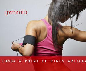 Zumba w Point of Pines (Arizona)
