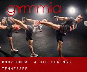 BodyCombat w Big Springs (Tennessee)