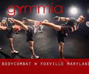 BodyCombat w Foxville (Maryland)