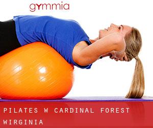 Pilates w Cardinal Forest (Wirginia)