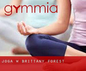 Joga w Brittany Forest