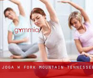 Joga w Fork Mountain (Tennessee)