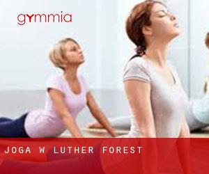 Joga w Luther Forest