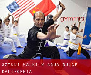 Sztuki walki w Agua Dulce (Kalifornia)