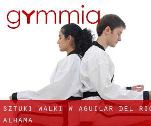 Sztuki walki w Aguilar del Río Alhama