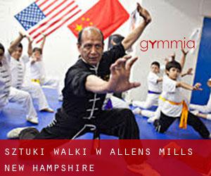 Sztuki walki w Allens Mills (New Hampshire)