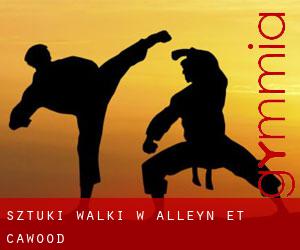 Sztuki walki w Alleyn-et-Cawood